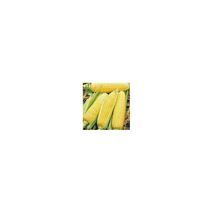 Caramelo / Карамело