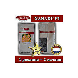 Xanadu / Ксанаду