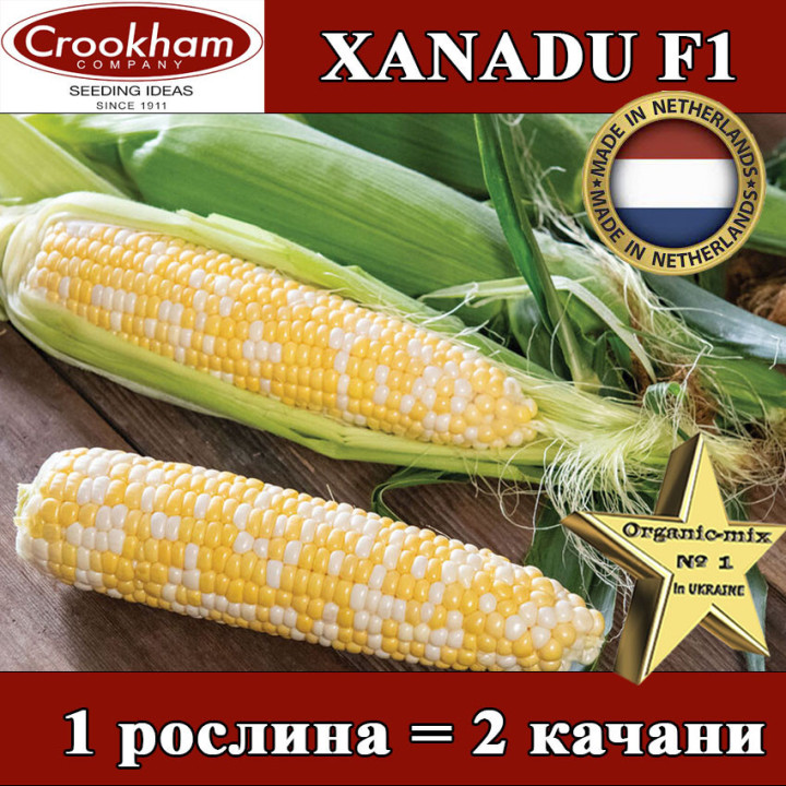 Xanadu / Ксанаду