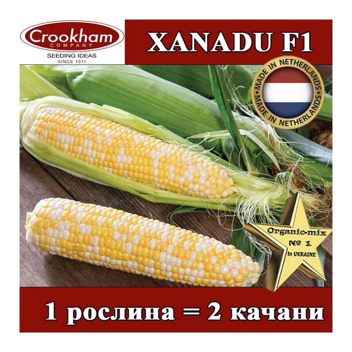 Xanadu / Ксанаду