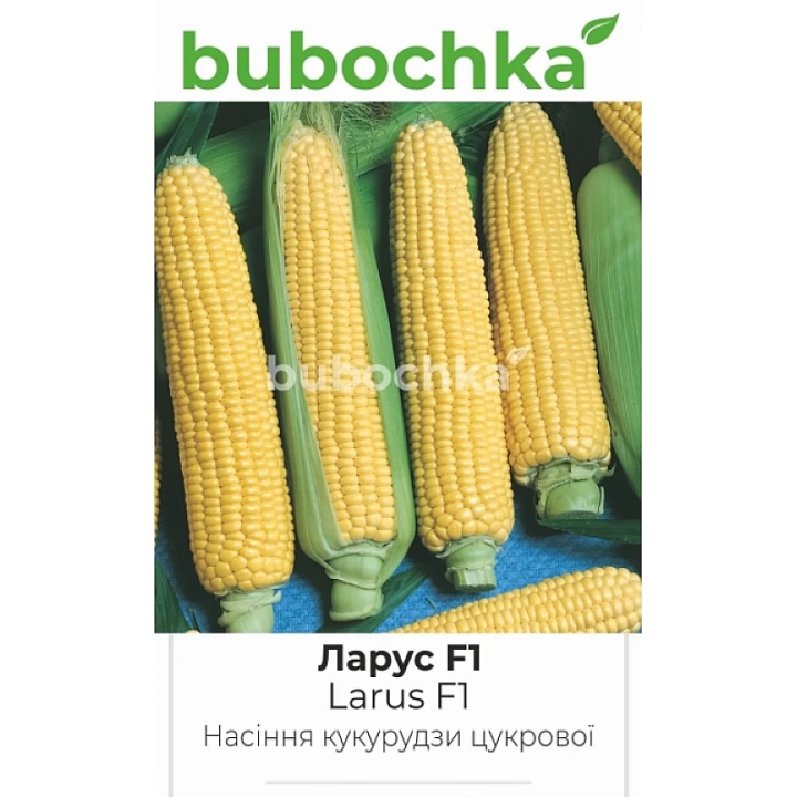 Ларус