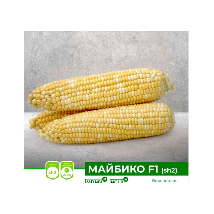 MAYBICO / МАЙБІКО