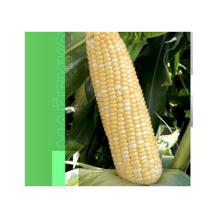 MAYBICO / МАЙБІКО