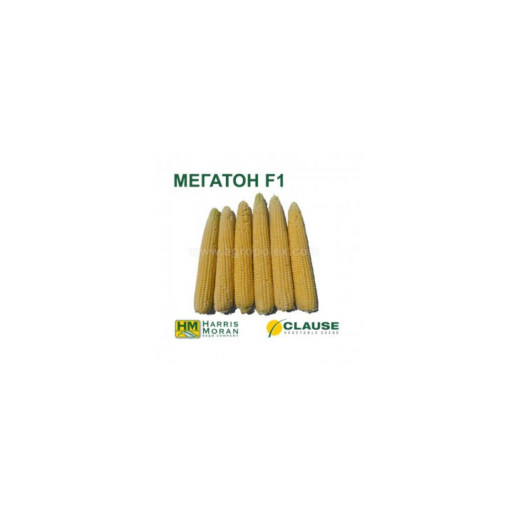 Megaton F1 / Мегатон F1