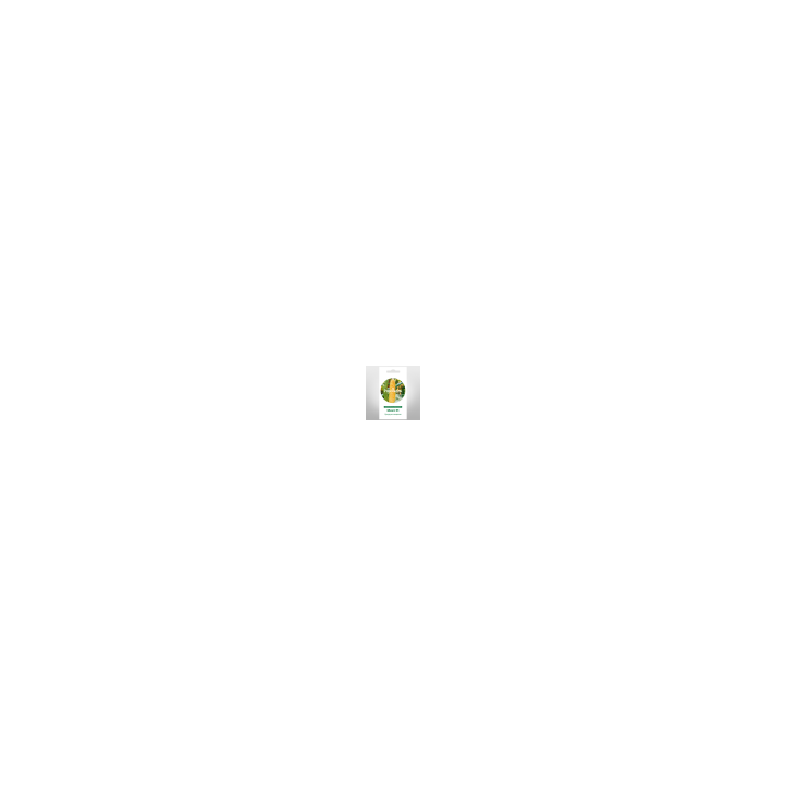 Mint / Мінт
