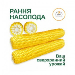 Насолода