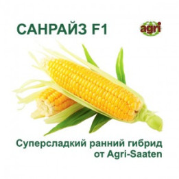 Sanrise F1 / Санрайз F1