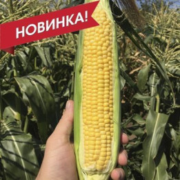SV1446SD / СВ1446СД