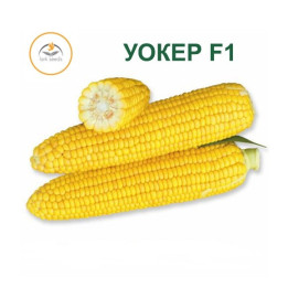 Worker / Уокер