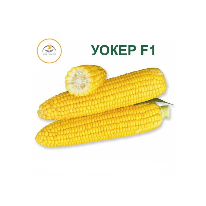 Worker / Уокер