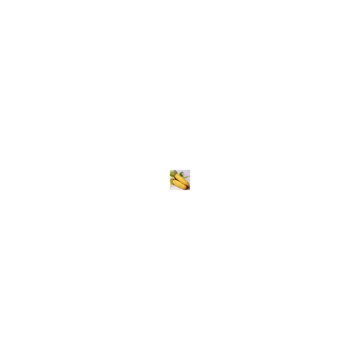 Вєнілія