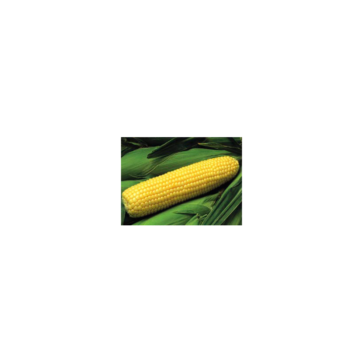 GH 2041 F1 / ГХ 2041 F1