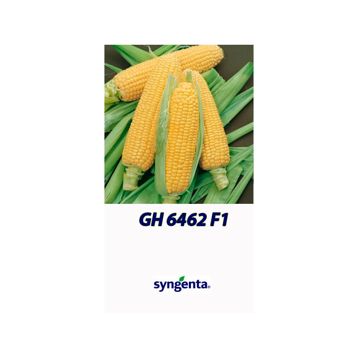 GX 6462 F1 / ГХ 6462 F1
