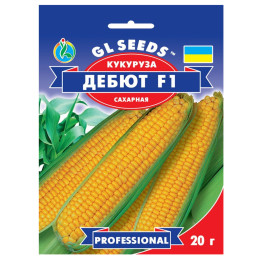Дебют F1