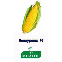 Конкурент