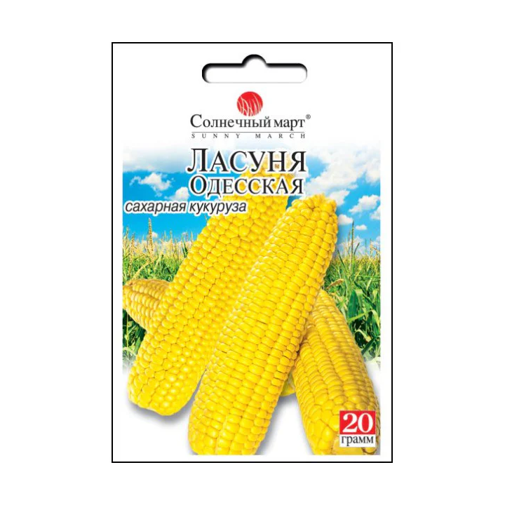 Ласуня одеська