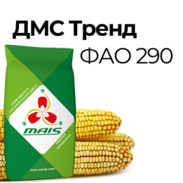 Маїс Смак