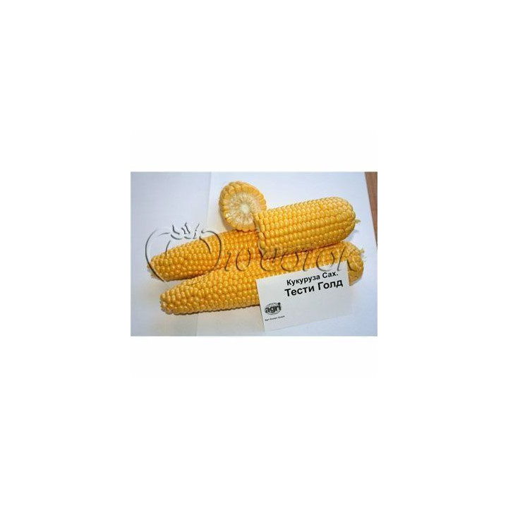 Harvest Gold F1 / Харвест Голд F1
