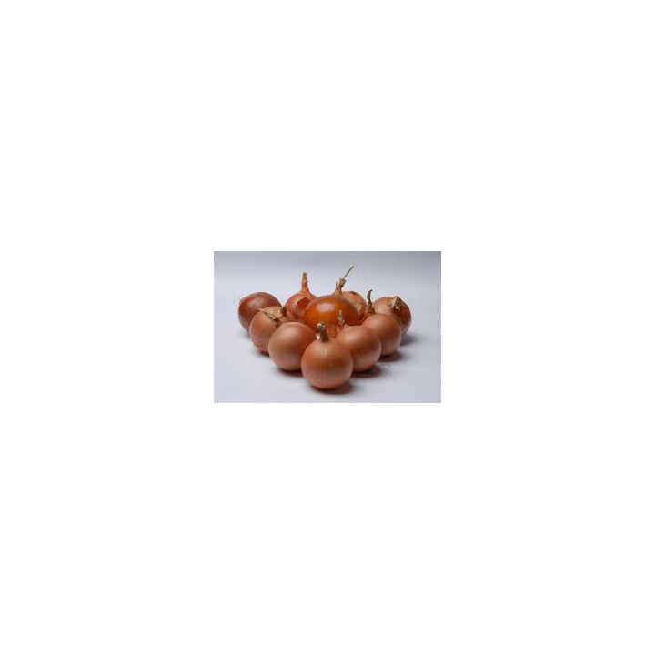 Берекет F1 / Bereket F1