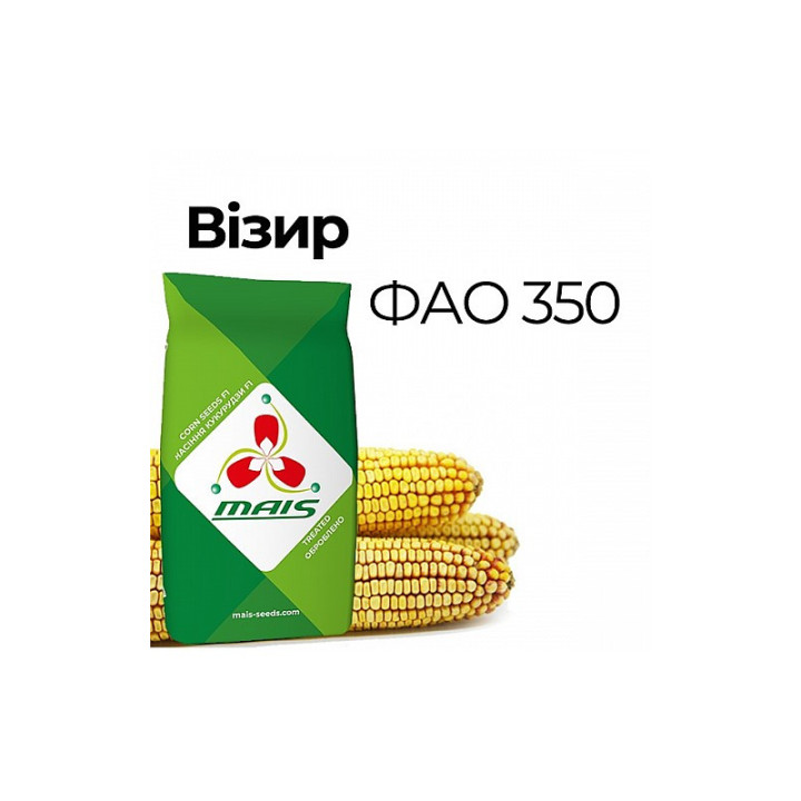 Візир