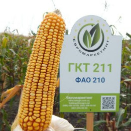 GW2122 / ГУ2122