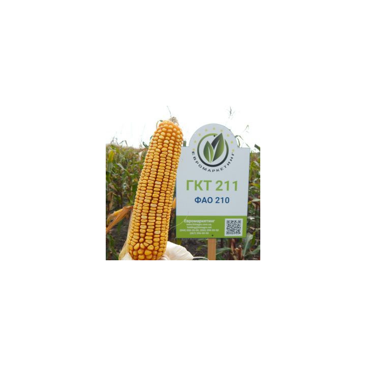 GW2122 / ГУ2122