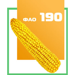 ДБ Лада