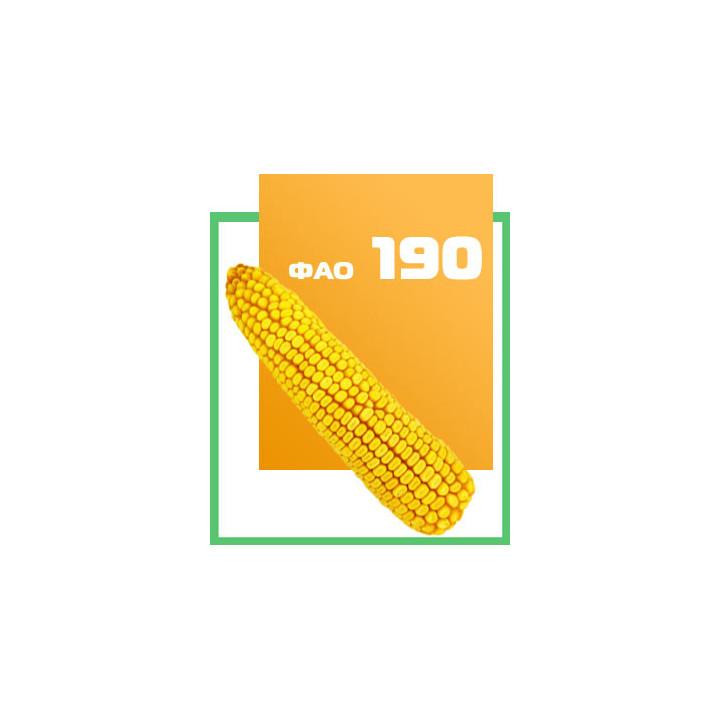 ДБ Лада