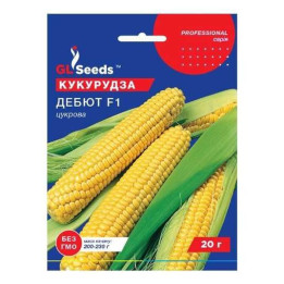 Дебют