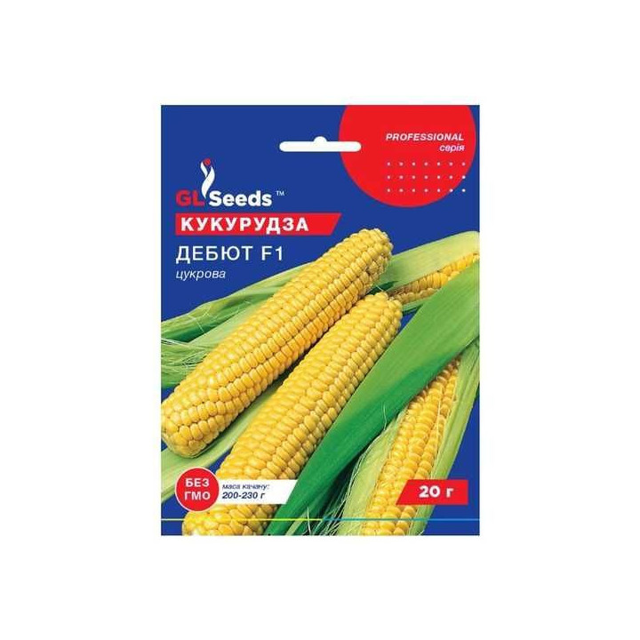 Дебют