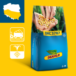 DKC3787 / ДКС3787