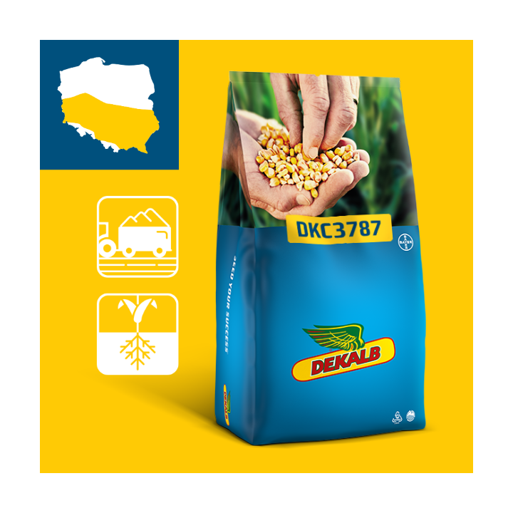 DKC3787 / ДКС3787