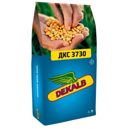DKC3830 / ДКС3830