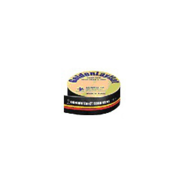 GoldenLayFlat PVC 2"