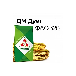 ДМ Дует