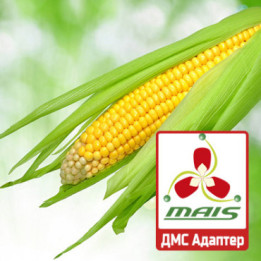 Адаптер МС / ДМС Адаптер