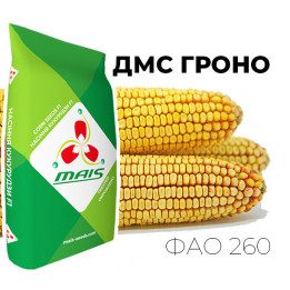 ДМС Гроно