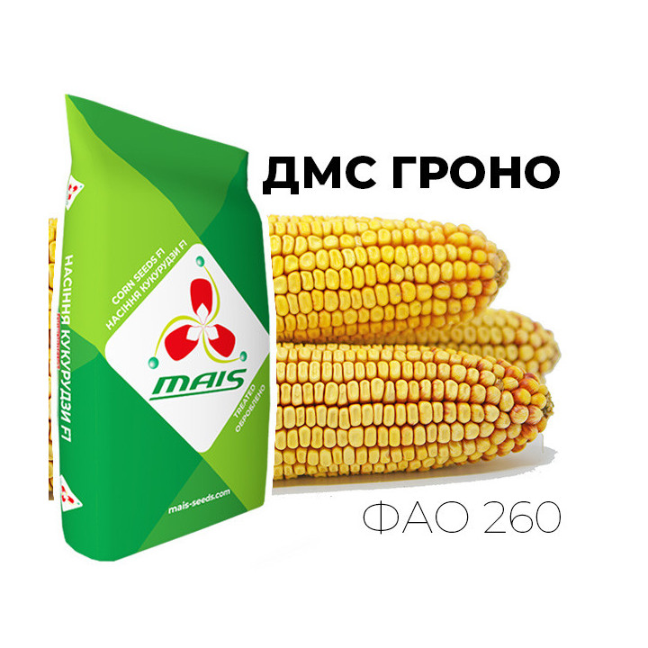 ДМС Гроно