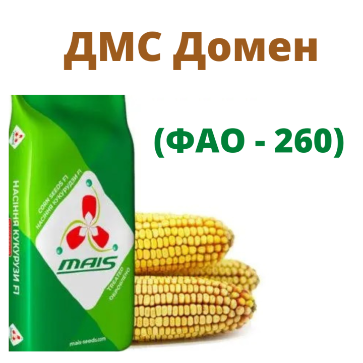 ДМС Домен