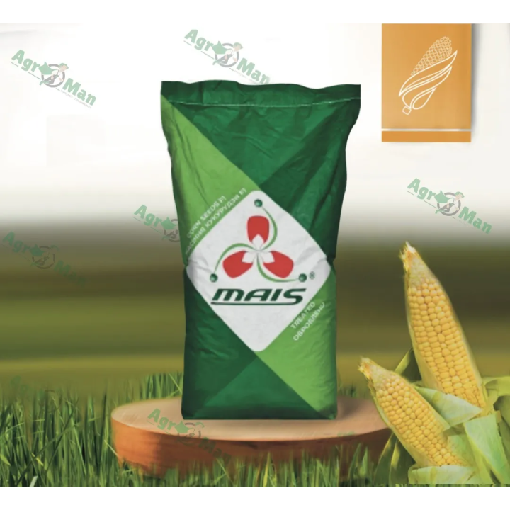 ДМС Орлан