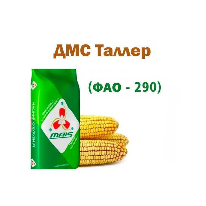 ДМС Таллер