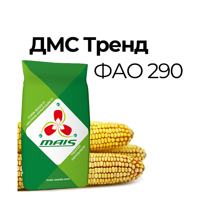 ДМС Таргет