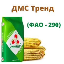 ДМС Тренд