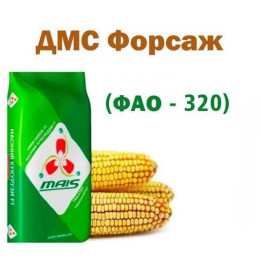 ДМС Форсаж