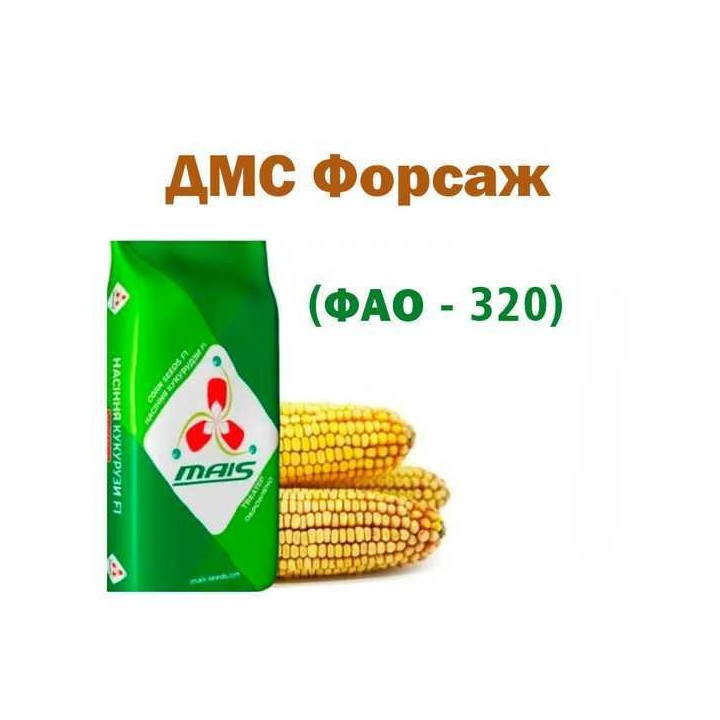 ДМС Форсаж