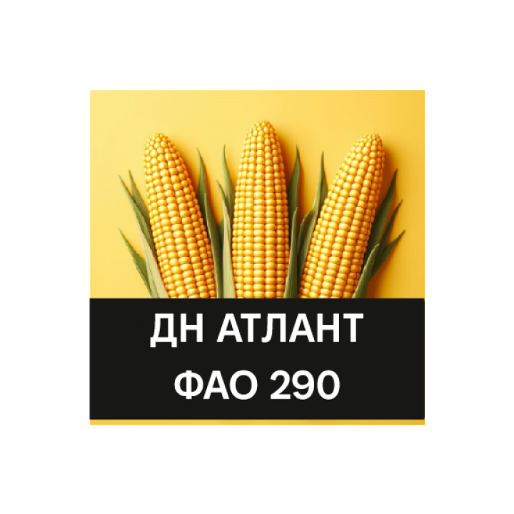 ДН Анаіт