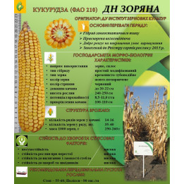 ДН Відрада