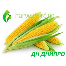 ДН Дніпро