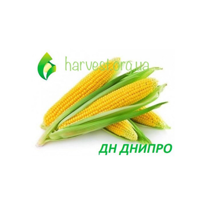 ДН Дніпро