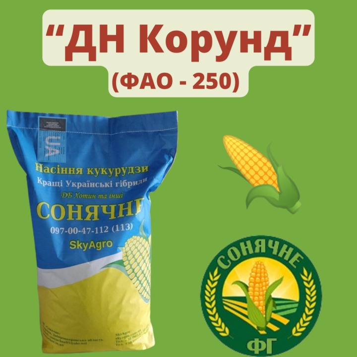ДН Корунд